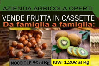 Frutta fresca di qualità dalla Frutticoltura Operti