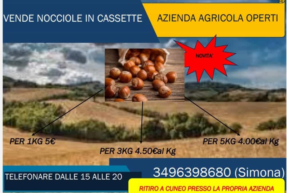 Nocciole da sgusciare a prezzo “a misura di famiglia” per i possessori della CartaF6G