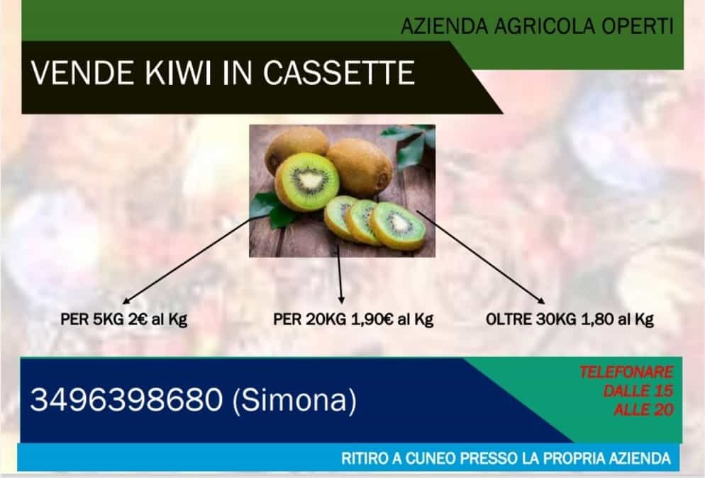 Kiwi in cassette a prezzo “a misura di famiglia” per i possessori della CartaF6G